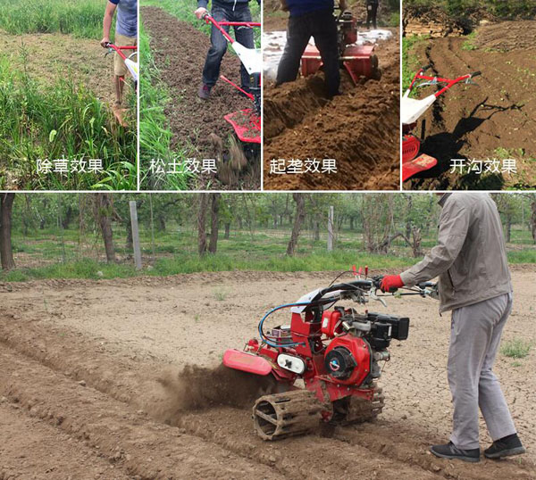 開(kāi)溝培土機(jī)在大蔥，大姜，土豆，果園中的應(yīng)用